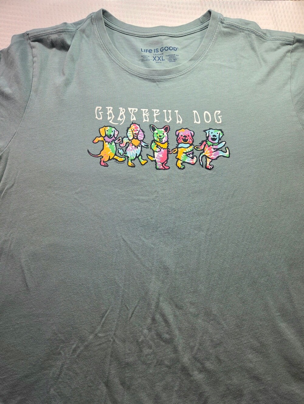 Life Is Good Seafoam Green Grateful Dog Graphic Tee